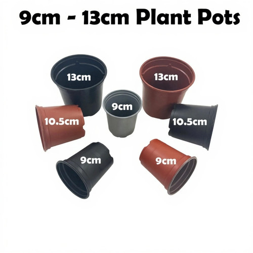 Plant pots 9cm - plant, up