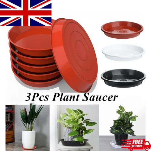 Plant pot saucers - plant, round