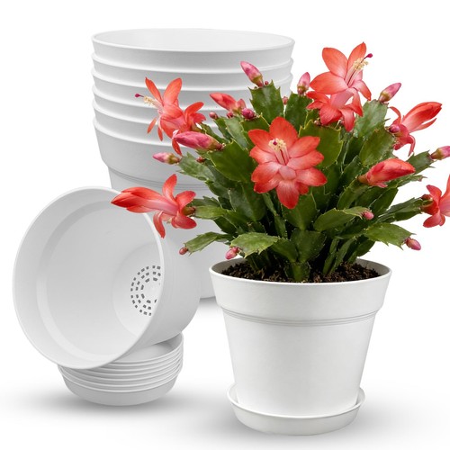 15cm plant pots - 15cm/6, indoor