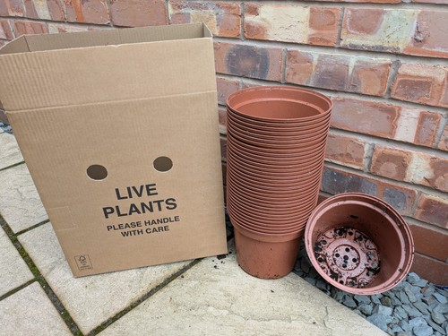 Plant pots used 4 litre - 4,