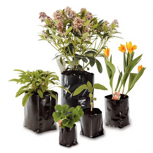 Poly plant pots grow - plant,