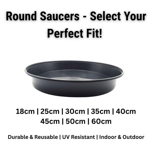 Plant pot saucers black - saucers,