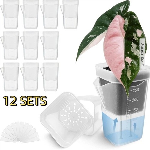 Set clear plastic self - 12,