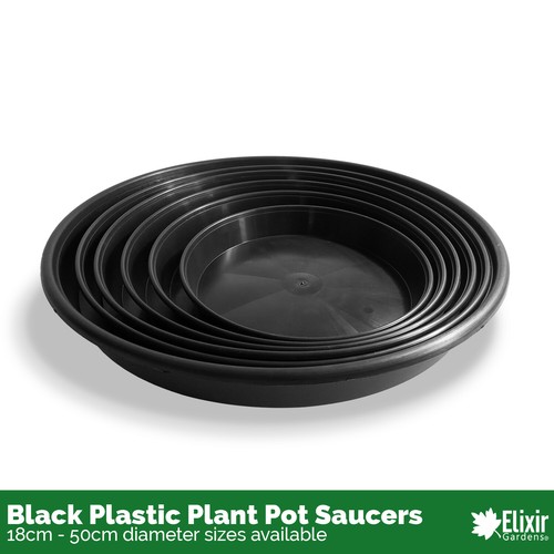 Plant pot saucers round - plant,