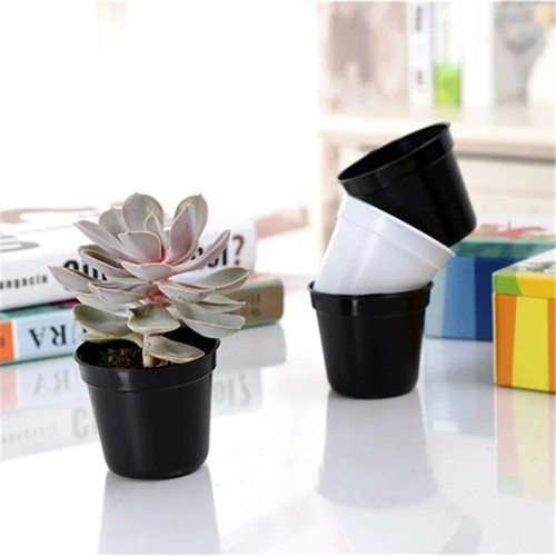 Black plastic plant - plastic,