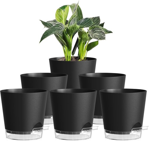 15cm self watering plant - watering,