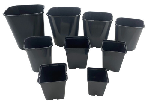 Square plant pots rigid 7cm - pots,