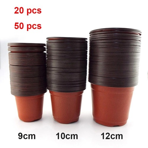 Plastic plant pots - plant,