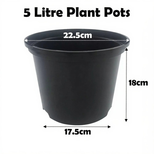 Litre black plant - black,