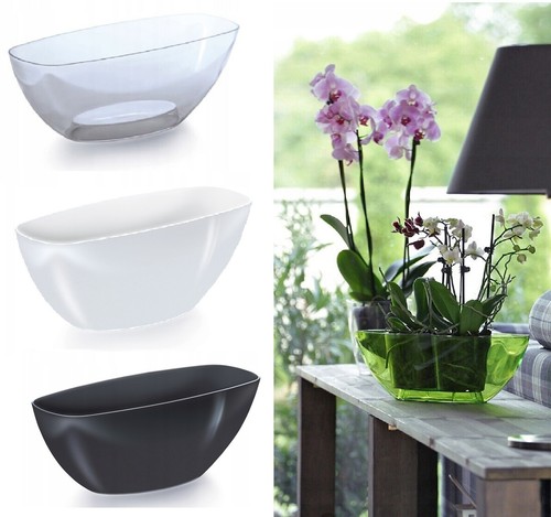Plant orchid pot - orchid,