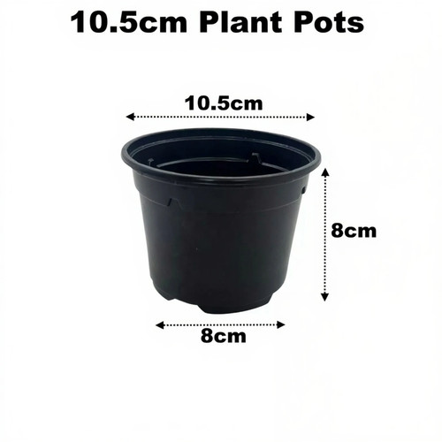 5cm plant pots black - 10.5cm,