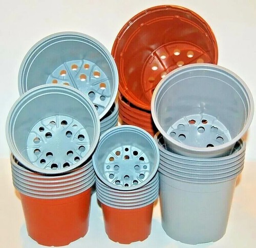 Plastic plant pots - plant,