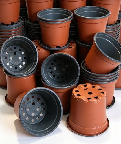 Litre plastic plant - 2,