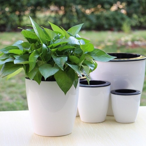 Automatic self watering round - automatic,