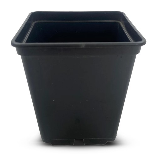 7cm square plant pots - 7cm,