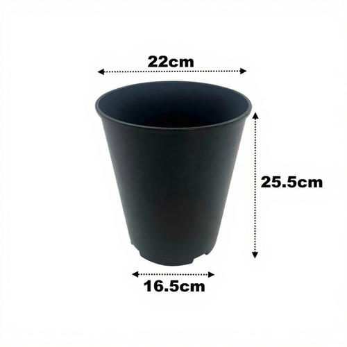 Litre deep rose plant - 7,