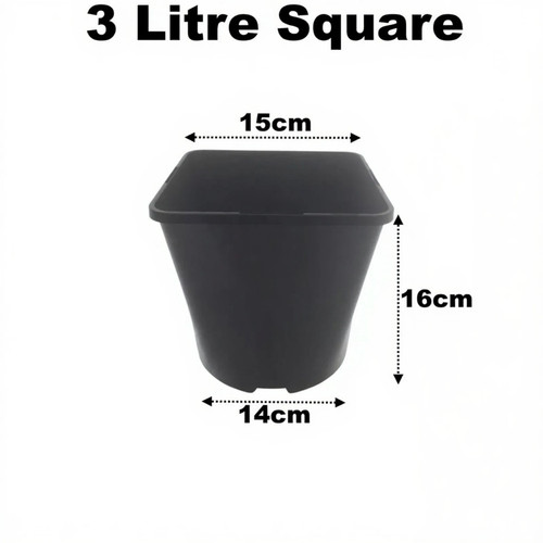 Litre square plant pots - 3,
