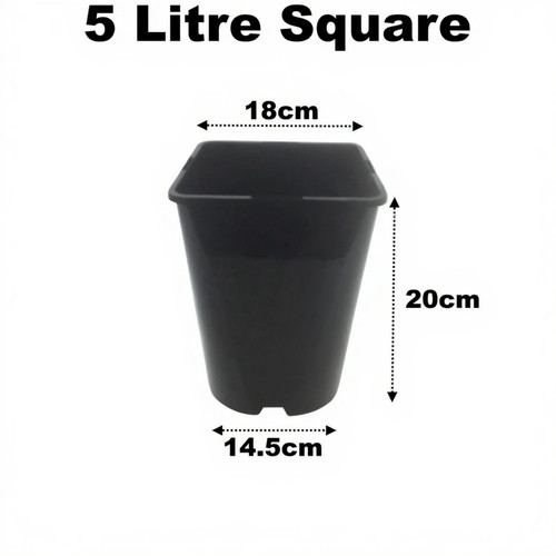 Litre square plant - 5, pots
