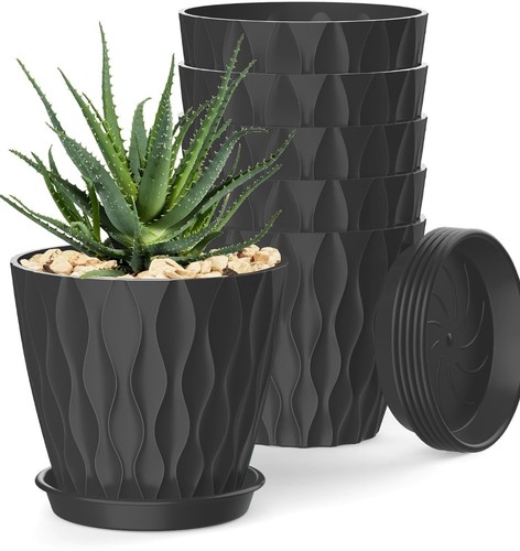 Plant pot - plant,