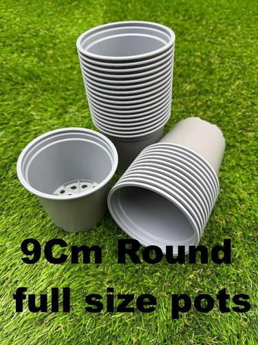 9cm pots 1 - 10, to