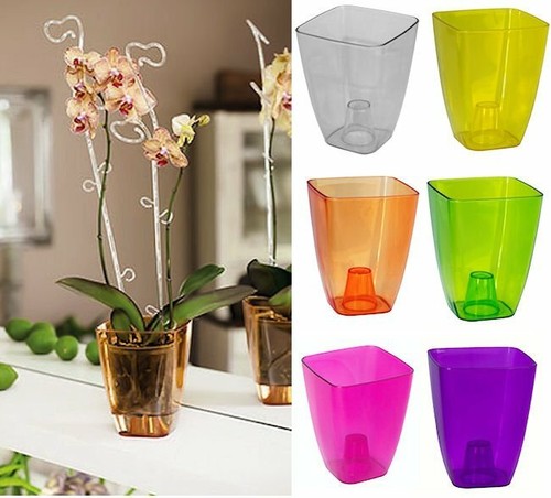 Plant orchid pot - plant, plastic