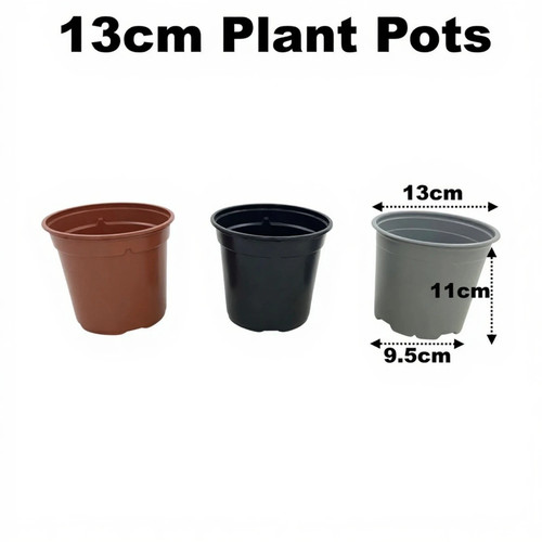 13cm plant pots litre - plant,