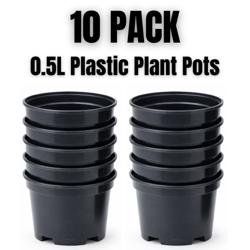 Plastic plant pots - plant, black