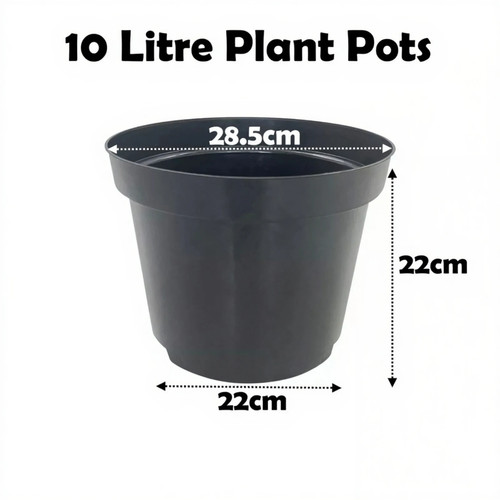Litre black plant pots - plant,