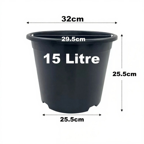 Litre black plant - plant, pots