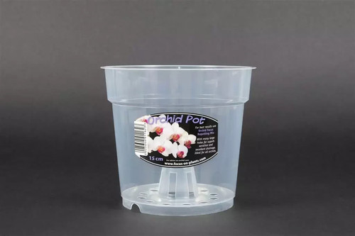 Clear orchid pots - orchid,