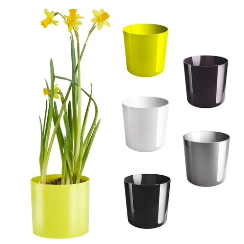 Cactus plant pot round plastic - pot,