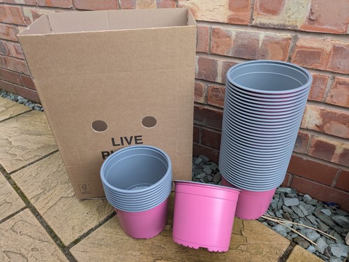 Plant pots new 3 litre - plant,