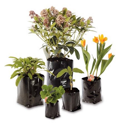 Poly pots strong grow bag - poly,