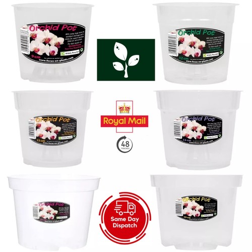 Clear orchid pots