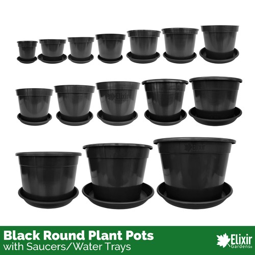 Plant pot tree shrub - pot,