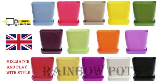 Plastic flower plant - plastic,