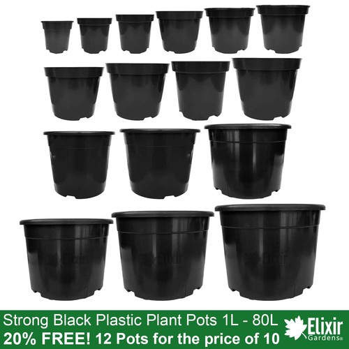 Black plastic pots 12 - plastic,