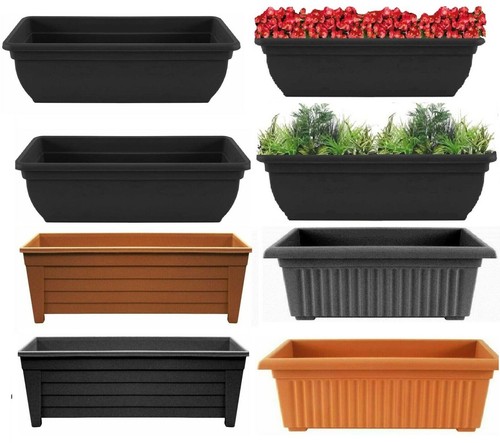 Set trough plant pot - plant, long