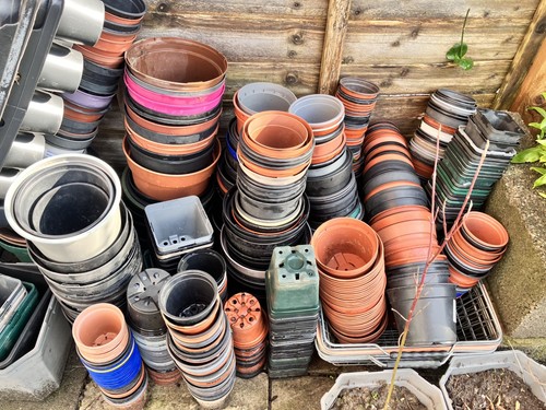 Range medium plastic plant - range,