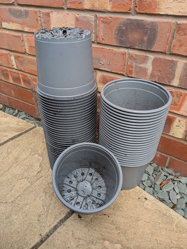 Plant pots used 3 litre - 60,
