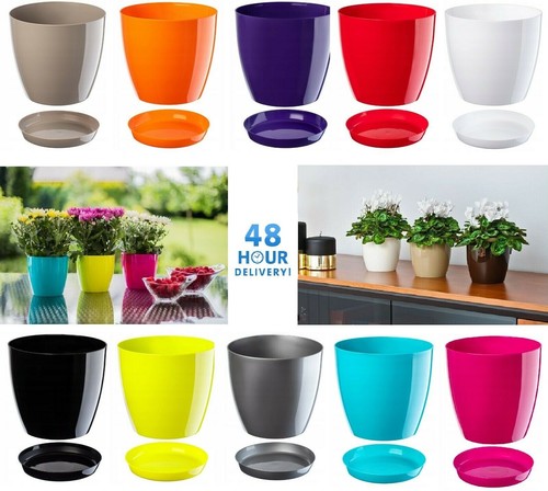 Plant flower pot plastic - flower,