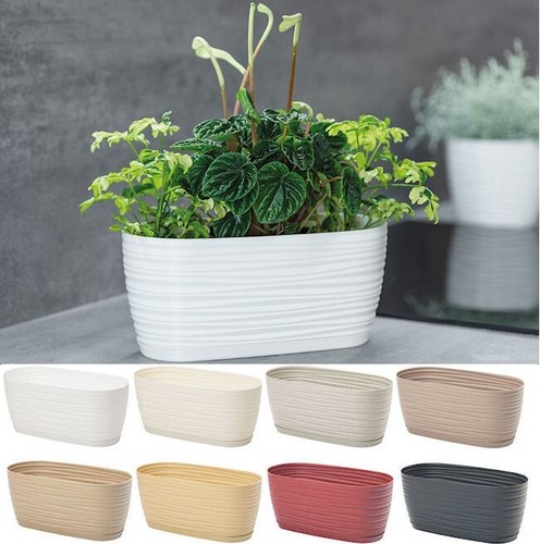 Trough plant pot long - plant,