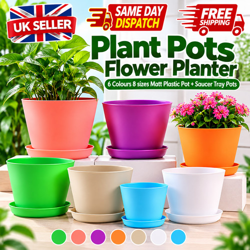 Plant pots flower - flower, 6