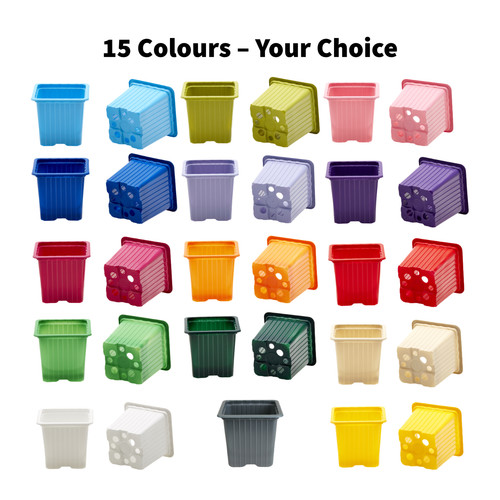 7cm square plant pots - 7cm, plastic