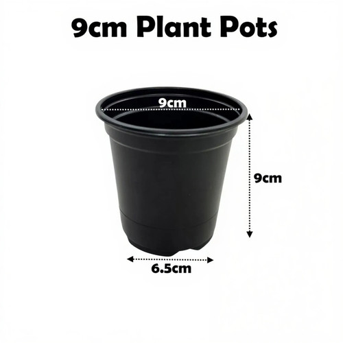 9cm plant pots black - plant,