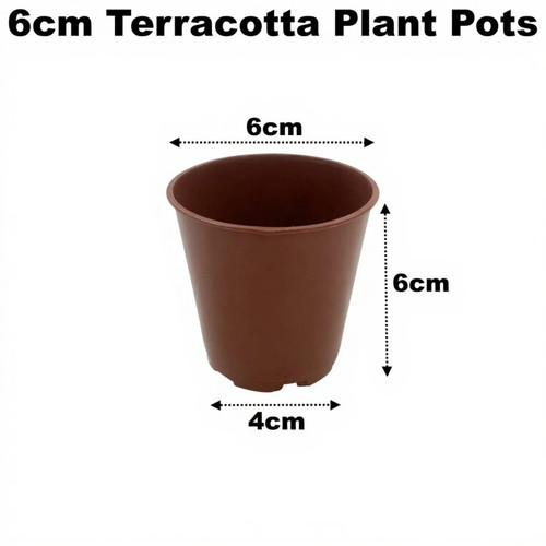 6cm plant pots terracotta - plant,