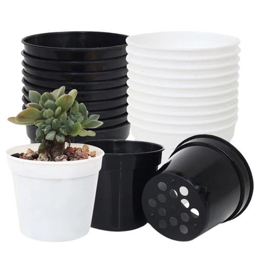 10x mini plastic plant - 10x,