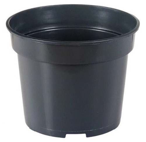 Black plastic plant pots small - plant,