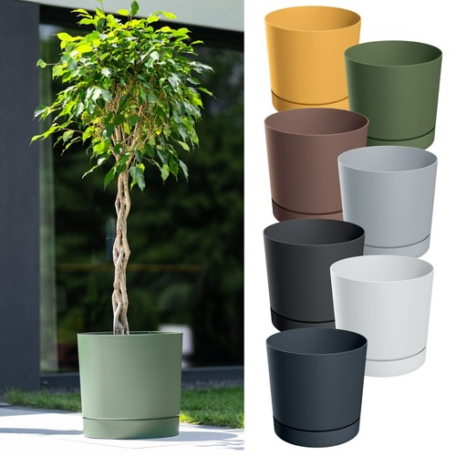 Plant pot with - with, indoor